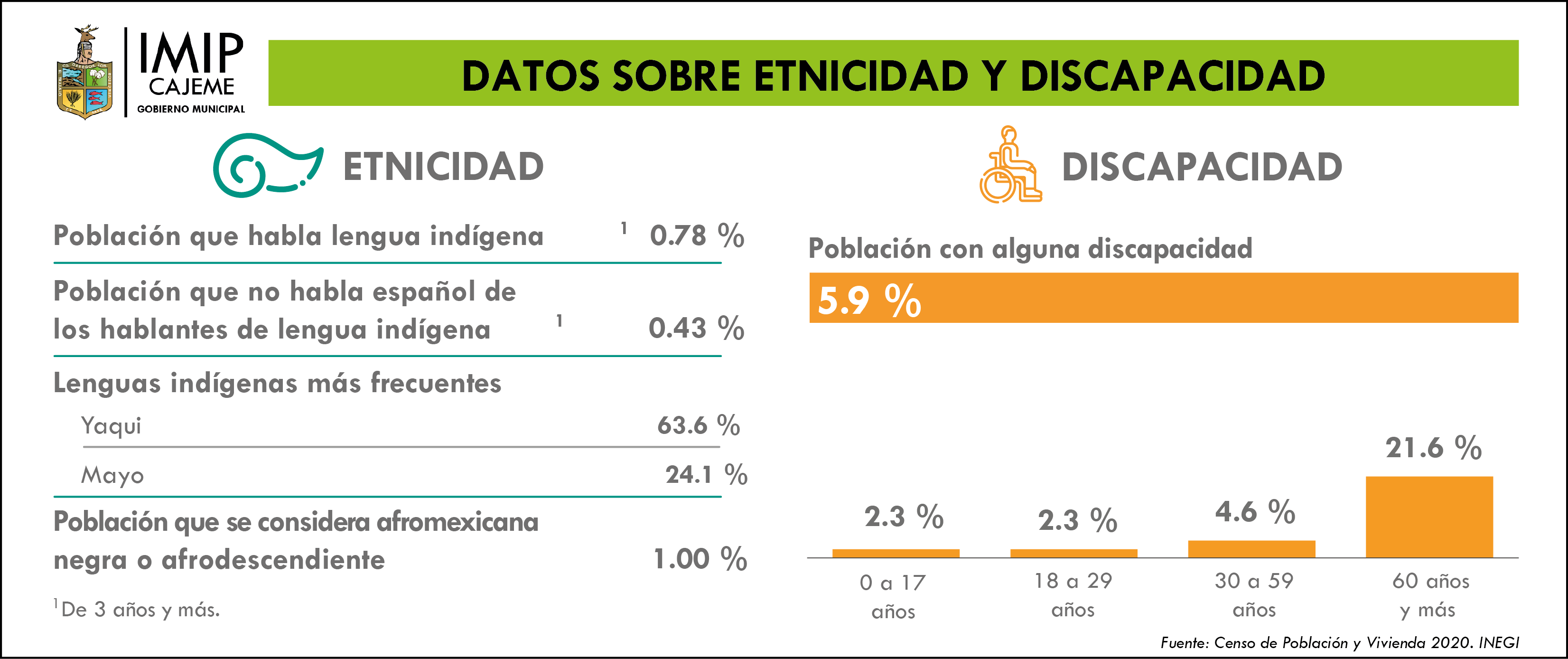 datos-sobre-etnicidad-y-discapacidad